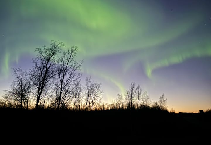 Aurora glow over a winter tree line at dusk