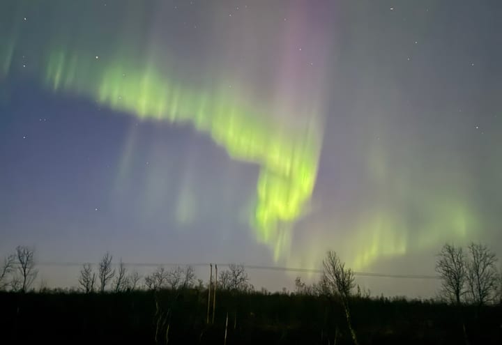 Aurora ribbon above a dark road and tree line