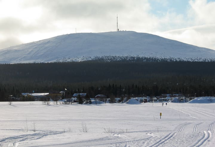 The rounded summit of Ylläs fell above snow-covered forest on a bright winter day